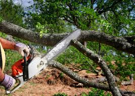 Mulching Services in Midfield, AL